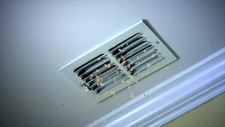 Best Residential Air Duct Cleaning  in De Kal, TX